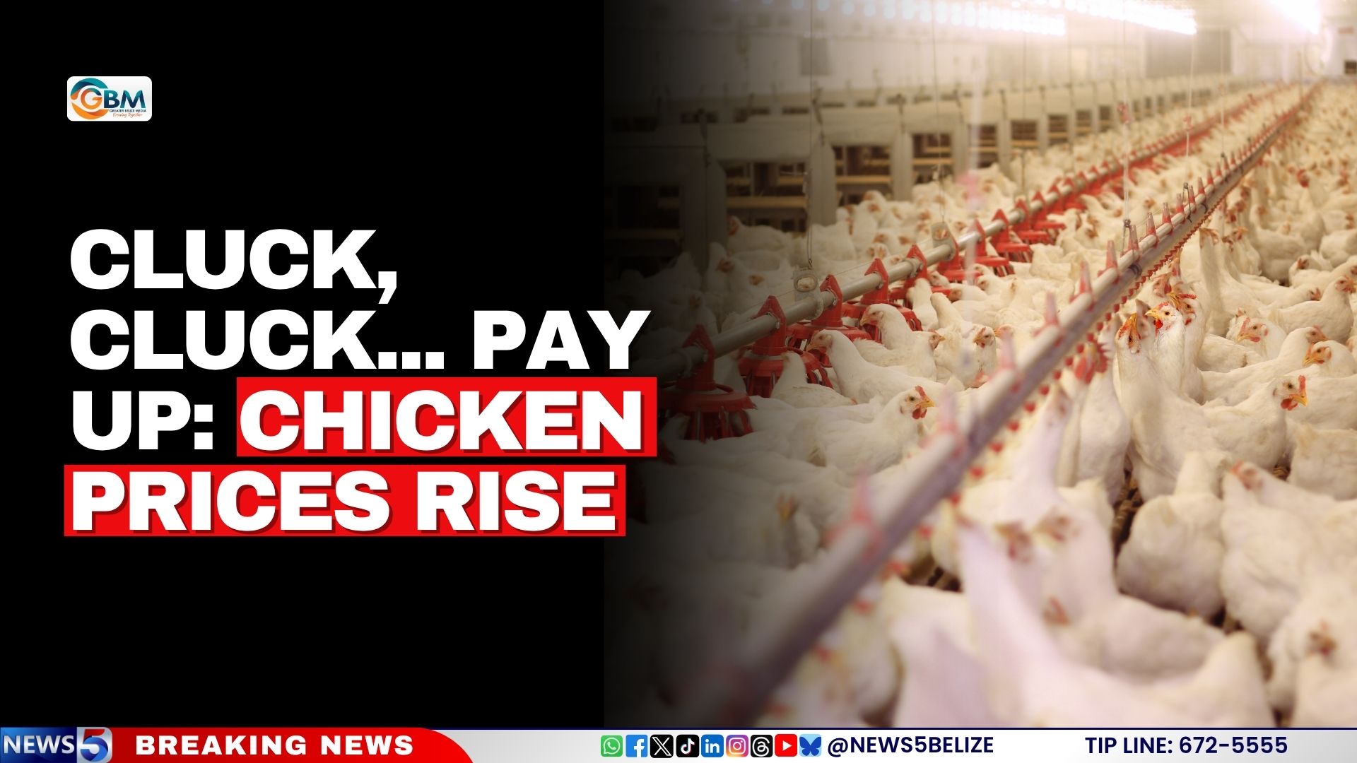 Cluck, Cluck... Pay Up: Chicken Prices Rise