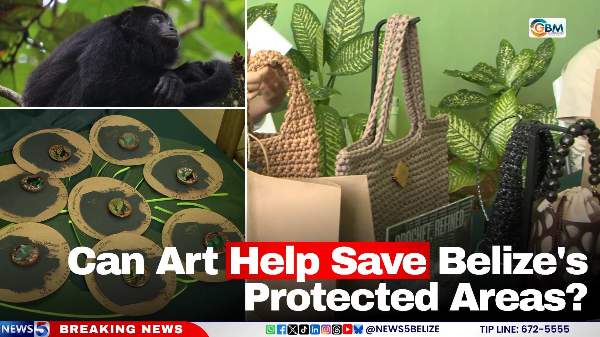 Can Art Help Save Belize's Protected Areas?