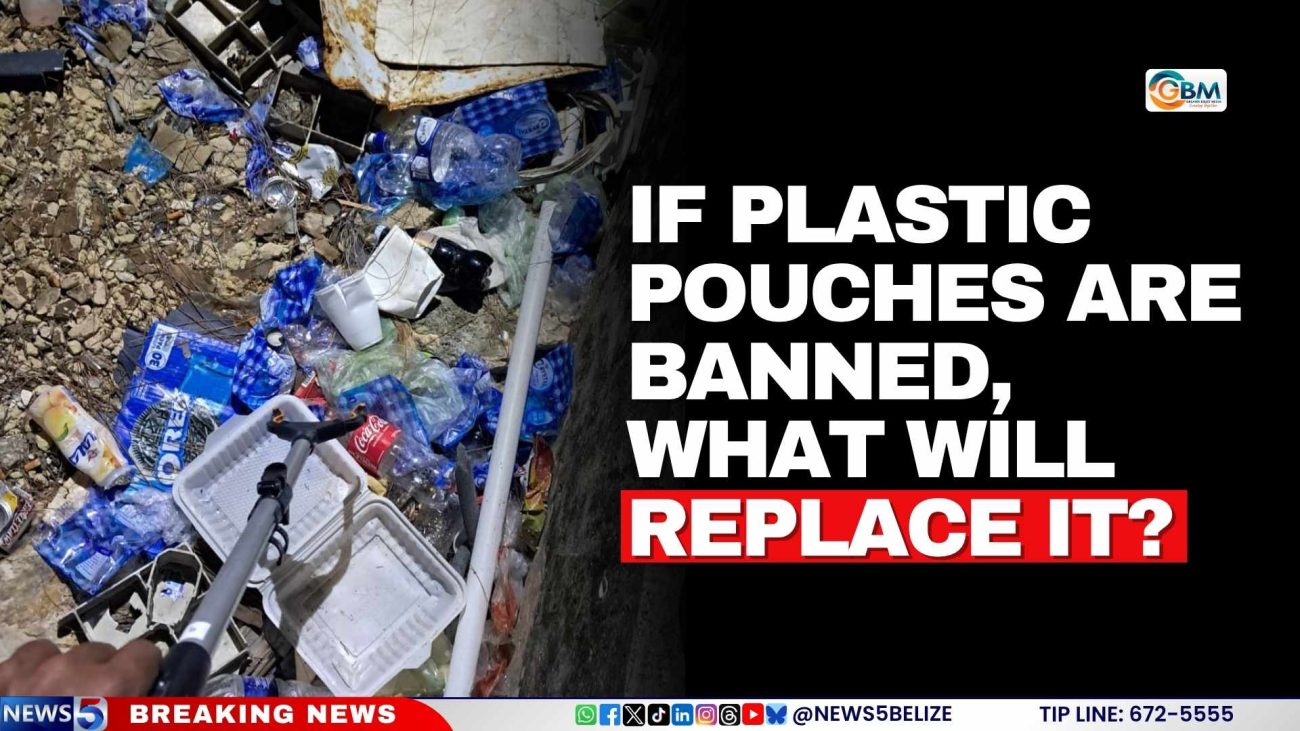 If Plastic Pouches are Banned, What Will Replace It?