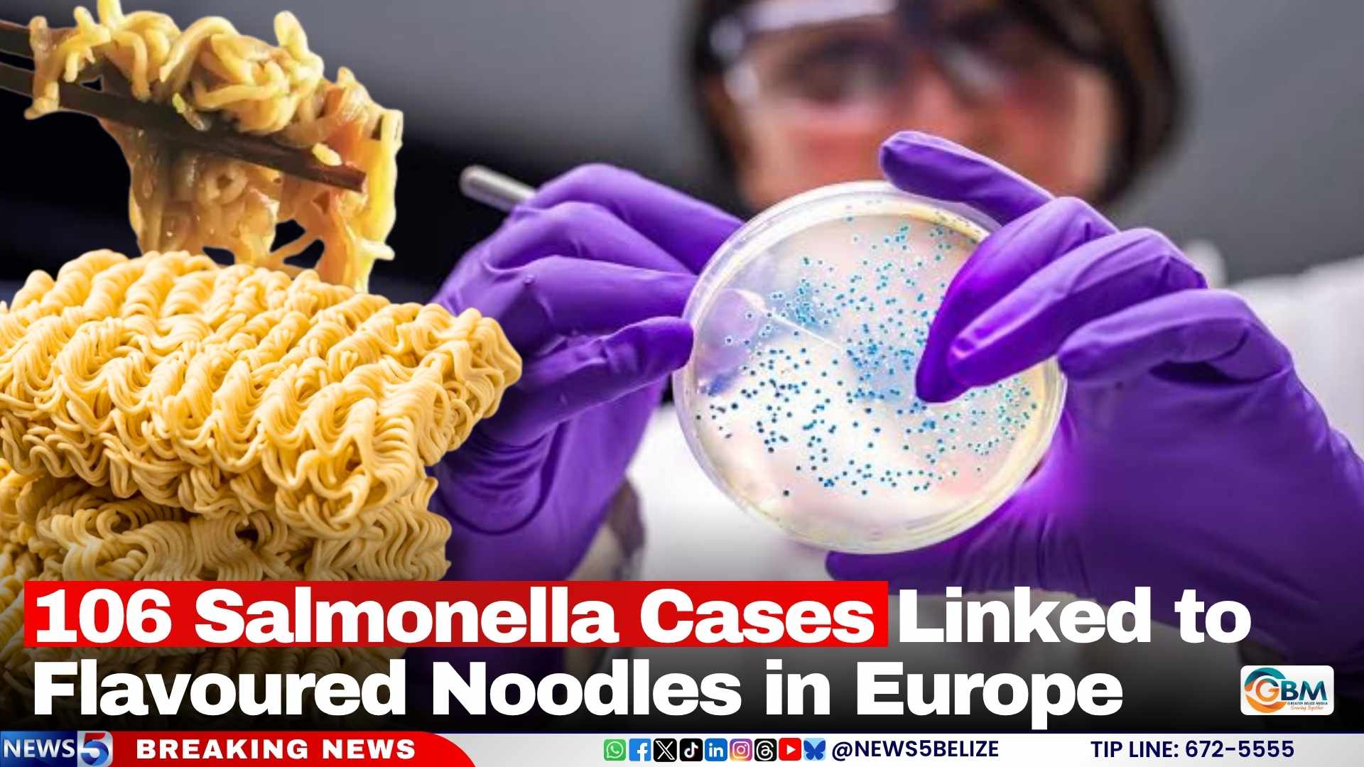 106 Salmonella Cases Linked to Flavoured Noodles in Europe