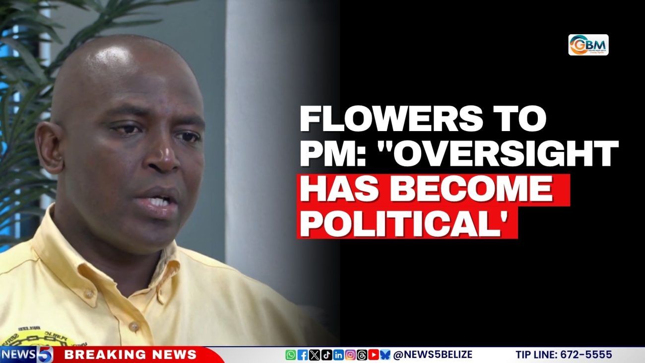 Flowers to PM: ''Oversight Has Become Political'
