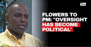 Flowers to PM: ''Oversight Has Become Political'