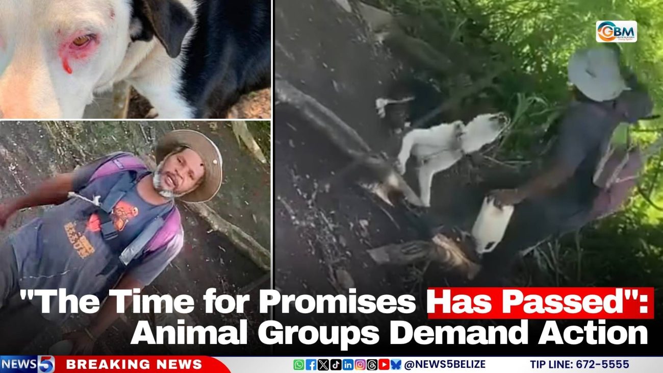 "The Time for Promises Has Passed": Animal Groups Demand Action