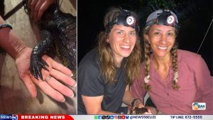 'We Found Our Purpose Through Pain': British Twins Find Healing in Belize's Crocodiles
