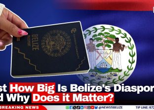 Just How Big Is Belize's Diaspora and Why Does it Matter?