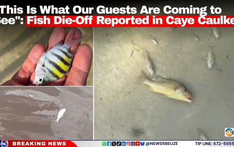 “This Is What Our Guests Are Coming to See