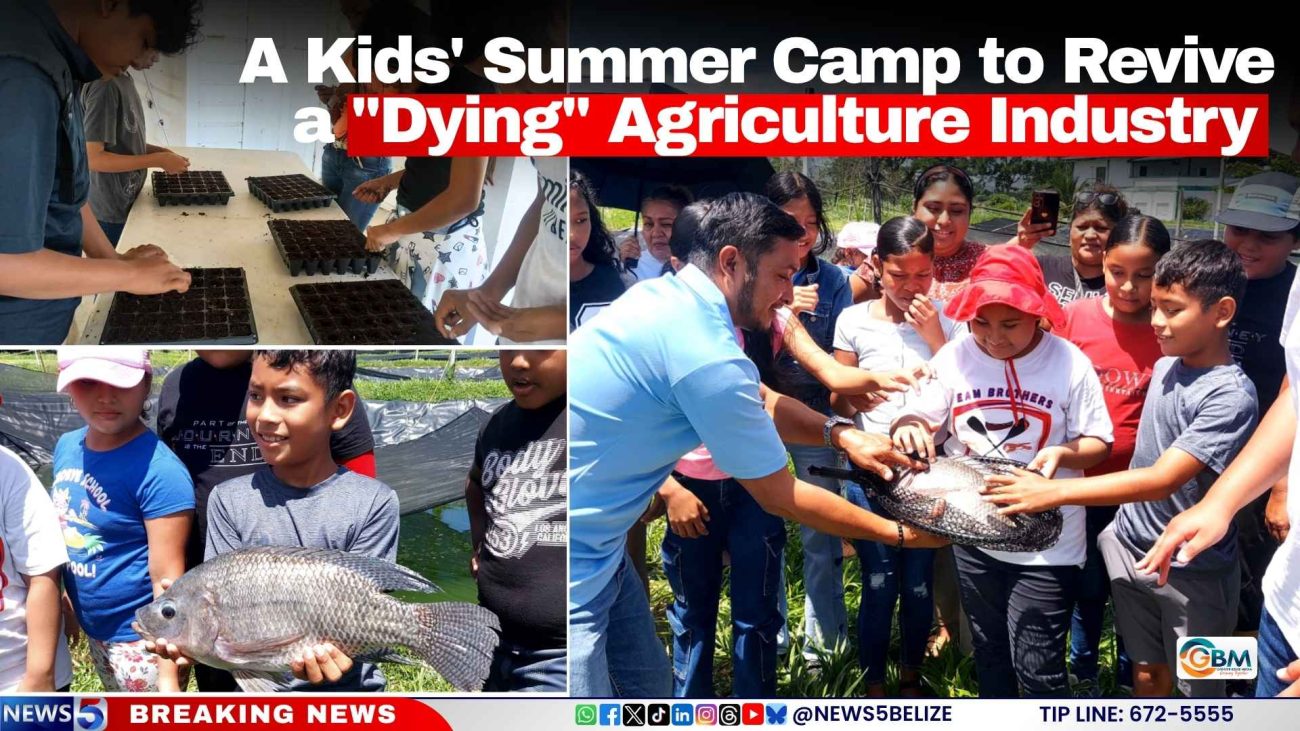 A Kids' Summer Camp to Revive a "Dying" Agriculture Industry