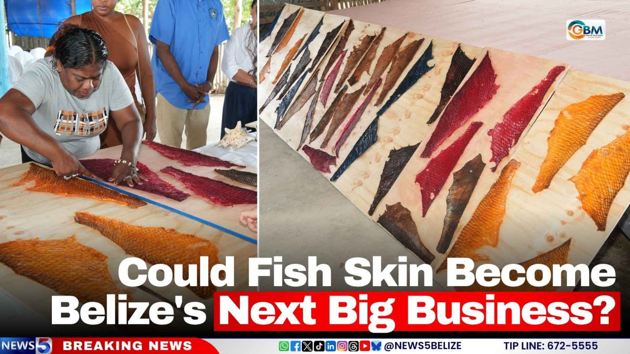 Could Fish Skin Become Belize's Next Big Business?