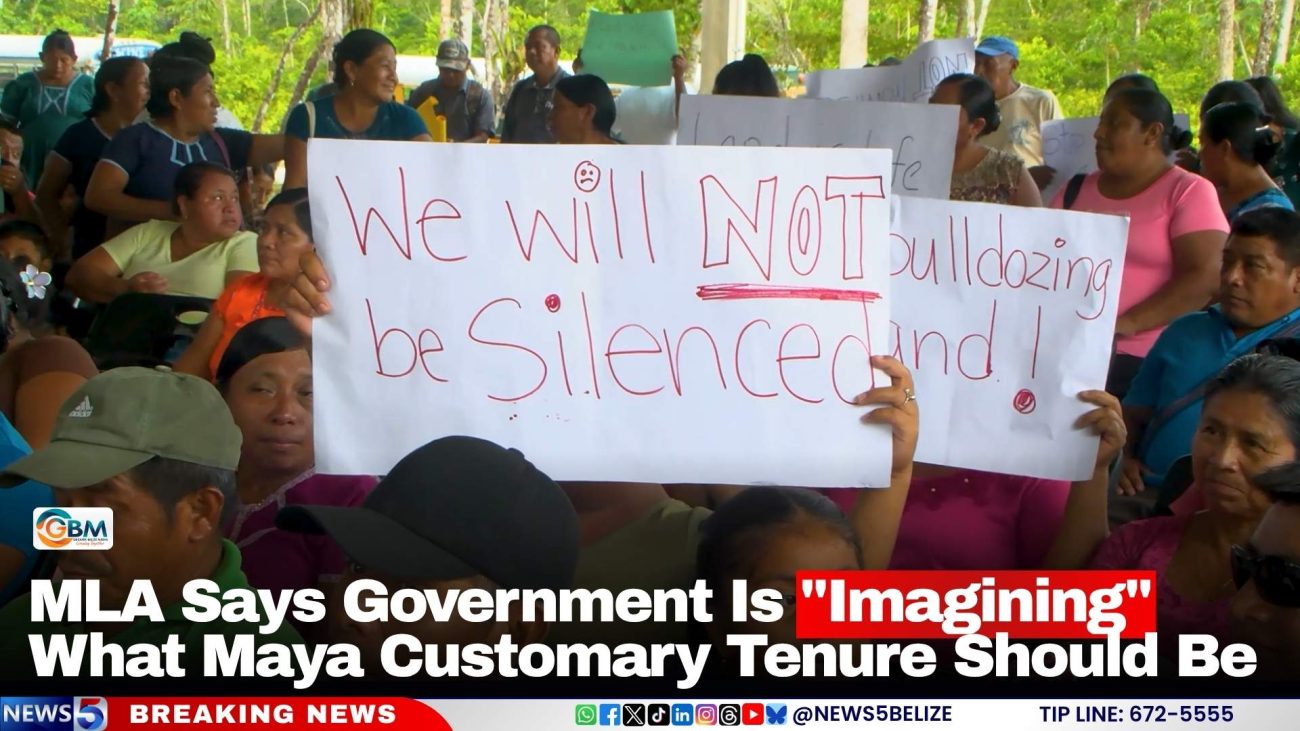 MLA Says Government Is "Imagining" What Maya Customary Tenure Should Be