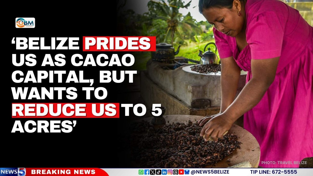‘Belize Prides Us as Cacao Capital, But Wants to Reduce Us to 5 Acres’