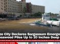 Belize City Declares Sargassum Emergency as Seaweed Piles Up to 20 Inches Deep