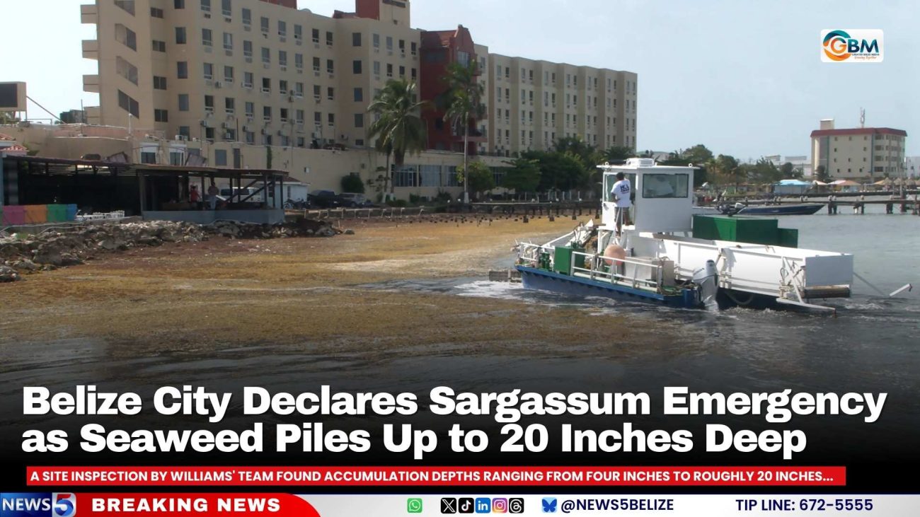 Belize City Declares Sargassum Emergency as Seaweed Piles Up to 20 Inches Deep