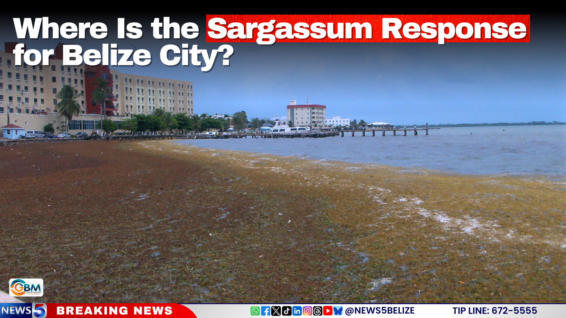 Where Is the Sargassum Response for Belize City?
