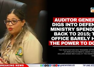 Auditor General Digs Into Defence Ministry Spending Back to 2015; The Office Barely Has the Power to Do It