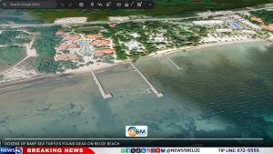 Dozens of Baby Sea Turtles Found Dead on Belize Beach