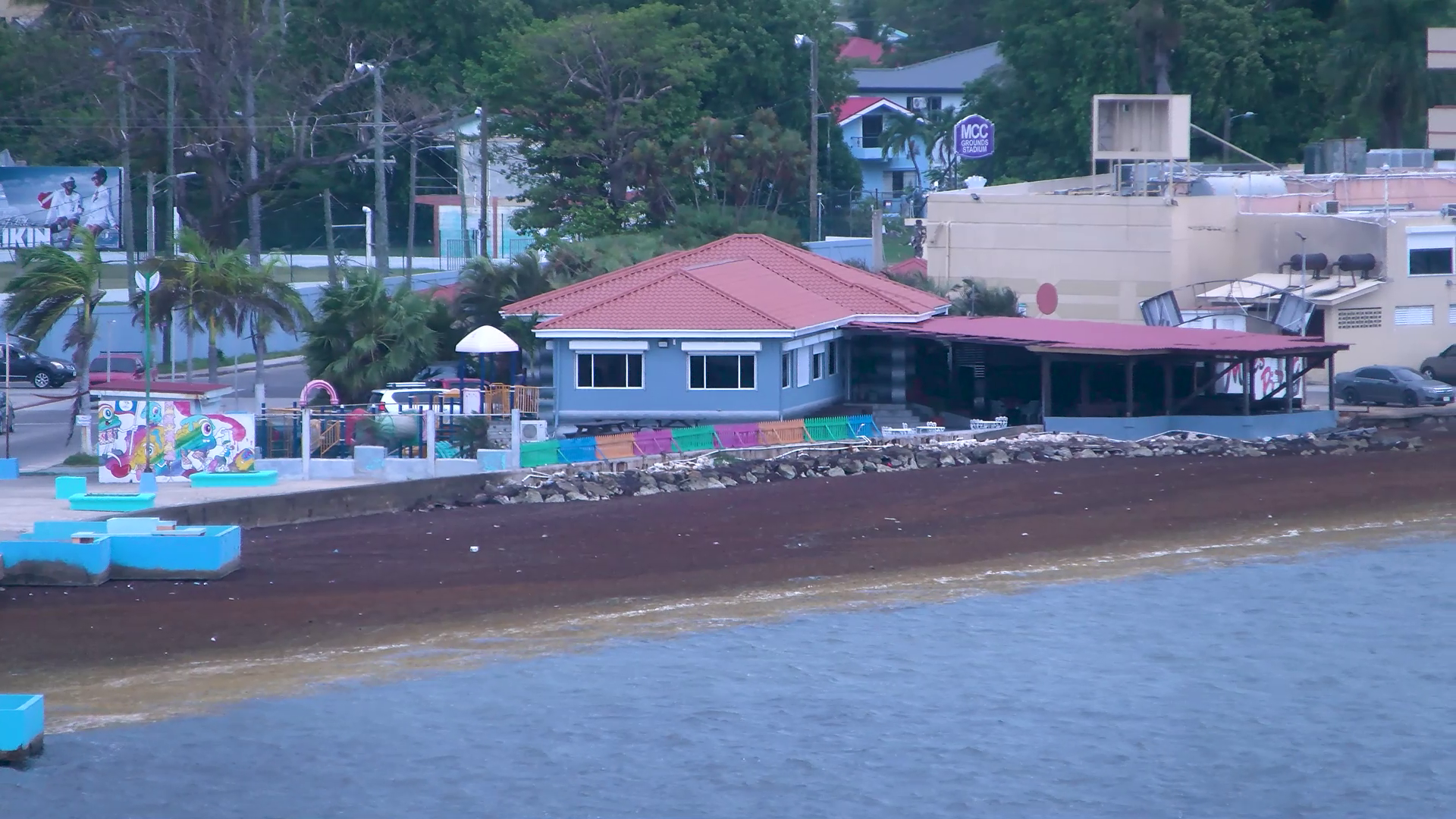 City Officials Scramble for Plan as Sargassum Builds Along Coastline