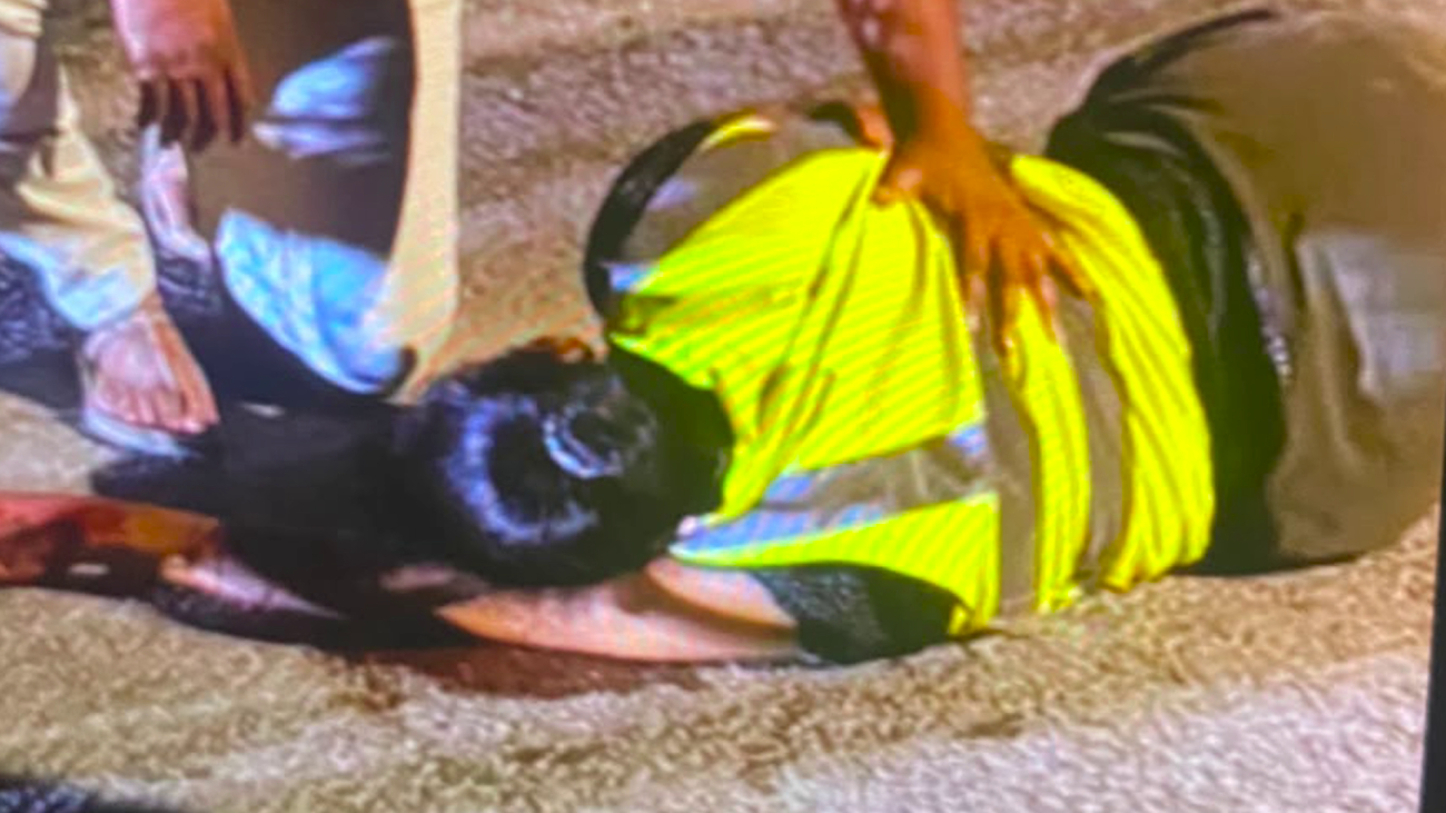 Santa Elena Family Wants Justice for Hit and Run Victim