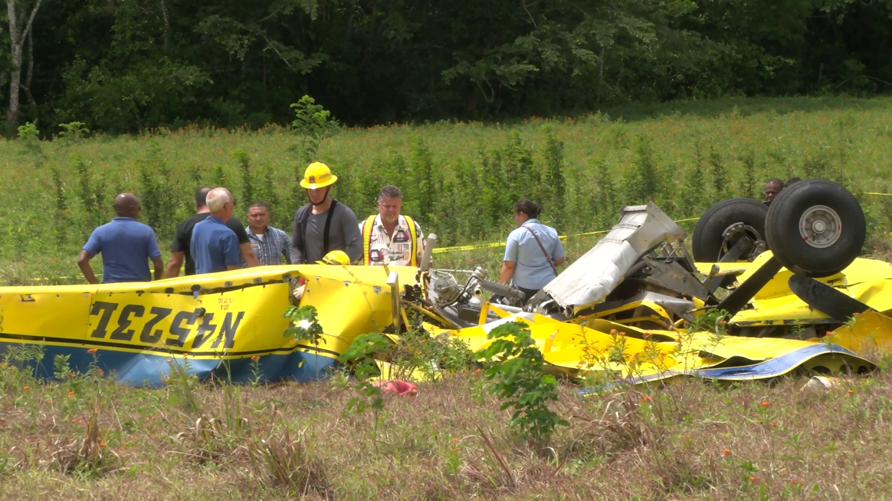 Plett’s Crash Investigation May Result in Regulatory Changes