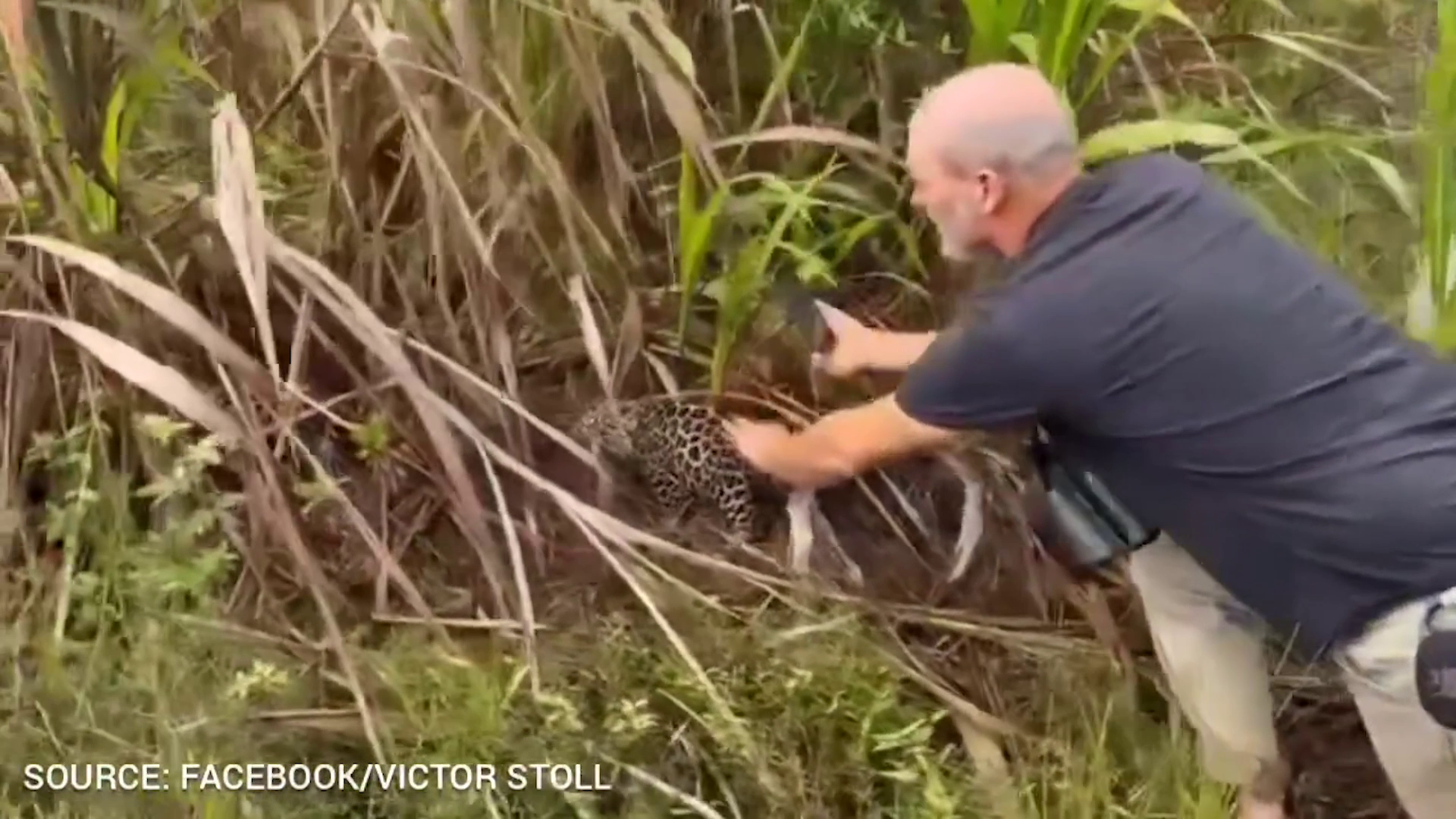 Environment Minister Calls Jaguar Incident A Teaching Moment