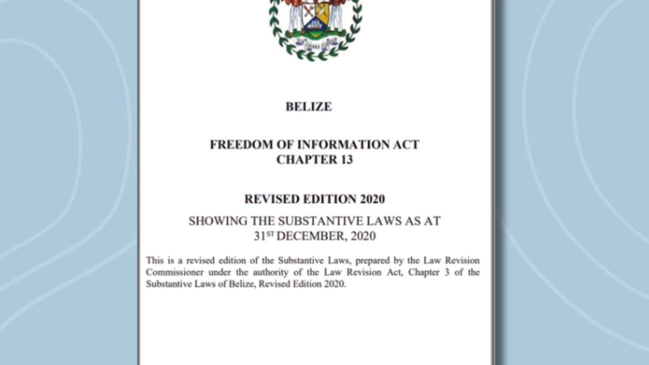Stronger FOIA Law Proposed After Years of Weak Enforcement