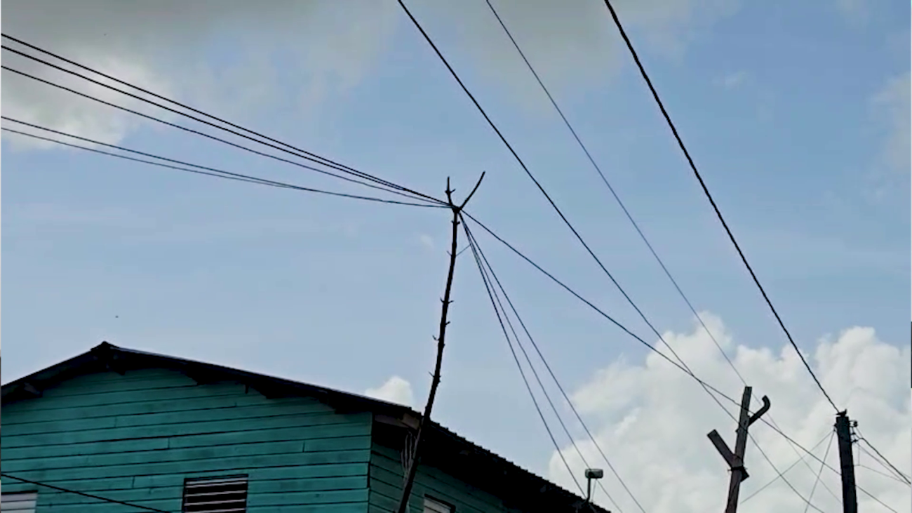 Illegal Power Lines Pose Growing Safety Risk Across Belize