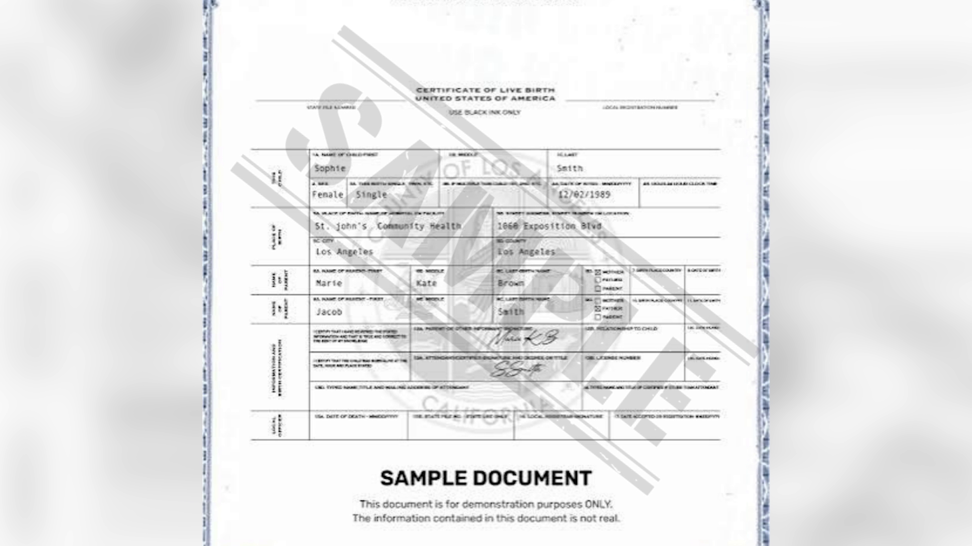 Birth Certificate Error Complicates Belizean Citizenship Claim by Descent  