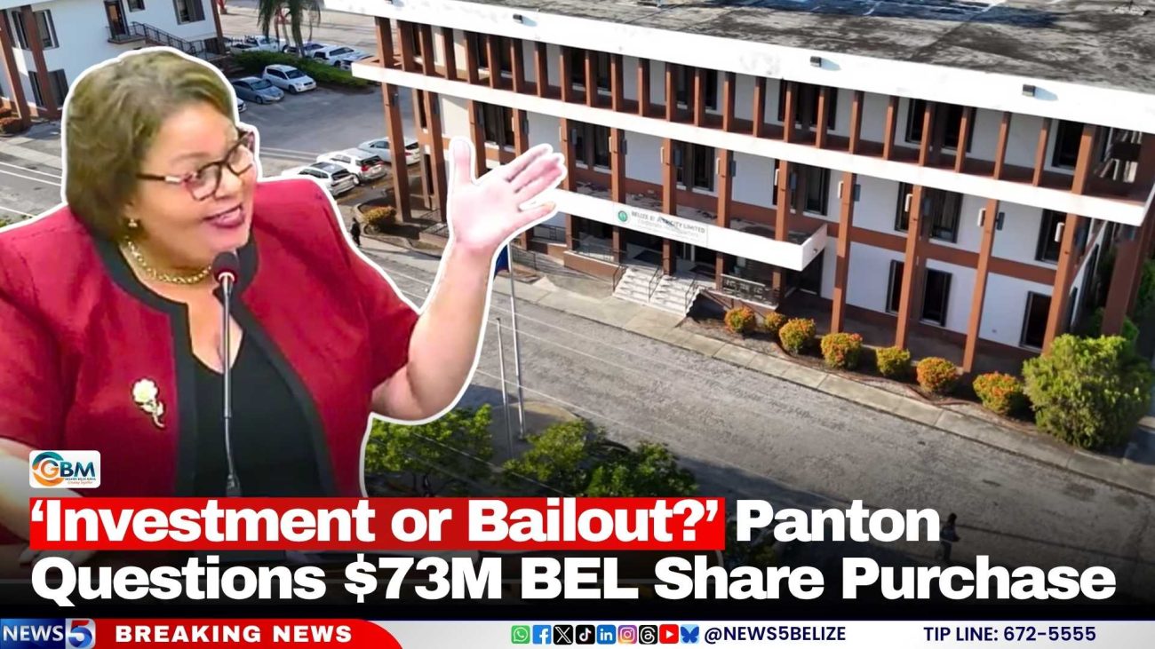 ‘Investment or Bailout?’ Panton Questions $73M BEL Share Purchase
