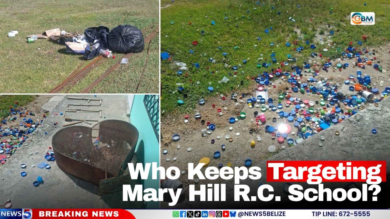 Who Keeps Targeting Mary Hill R.C. School?