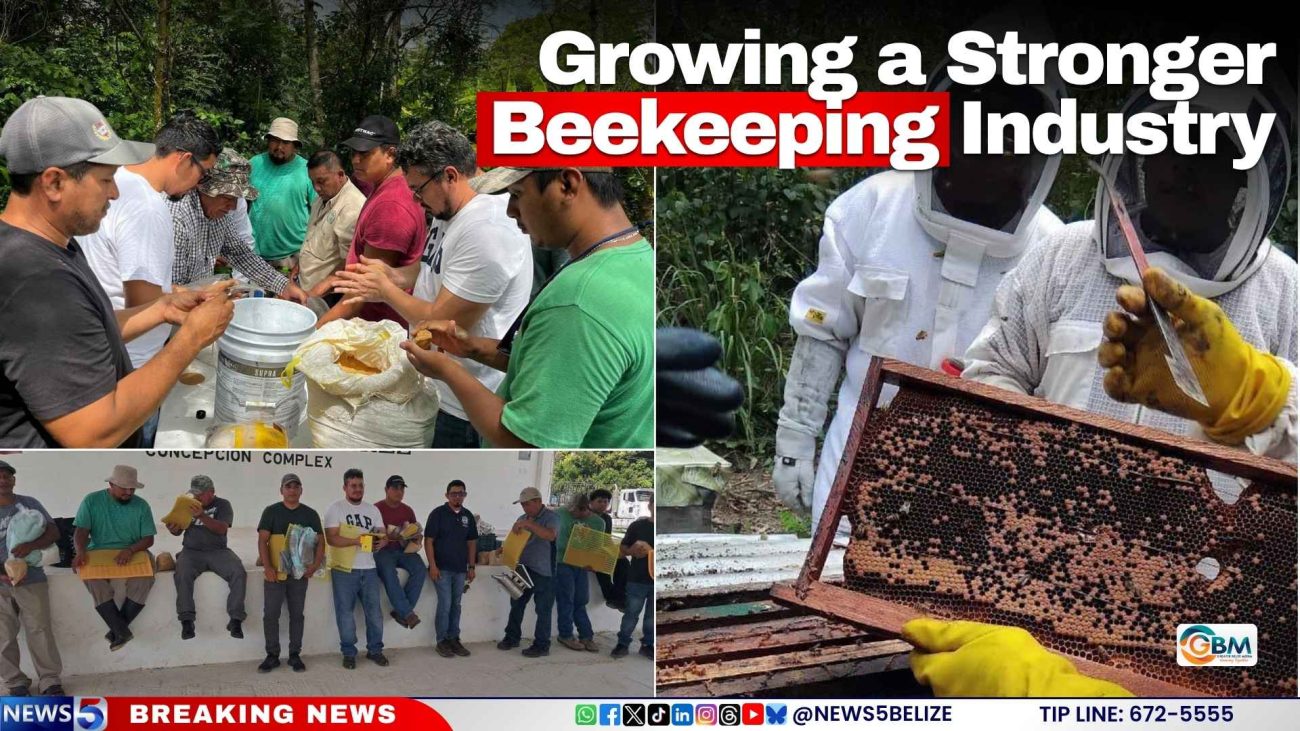 Growing a Stronger Beekeeping Industry
