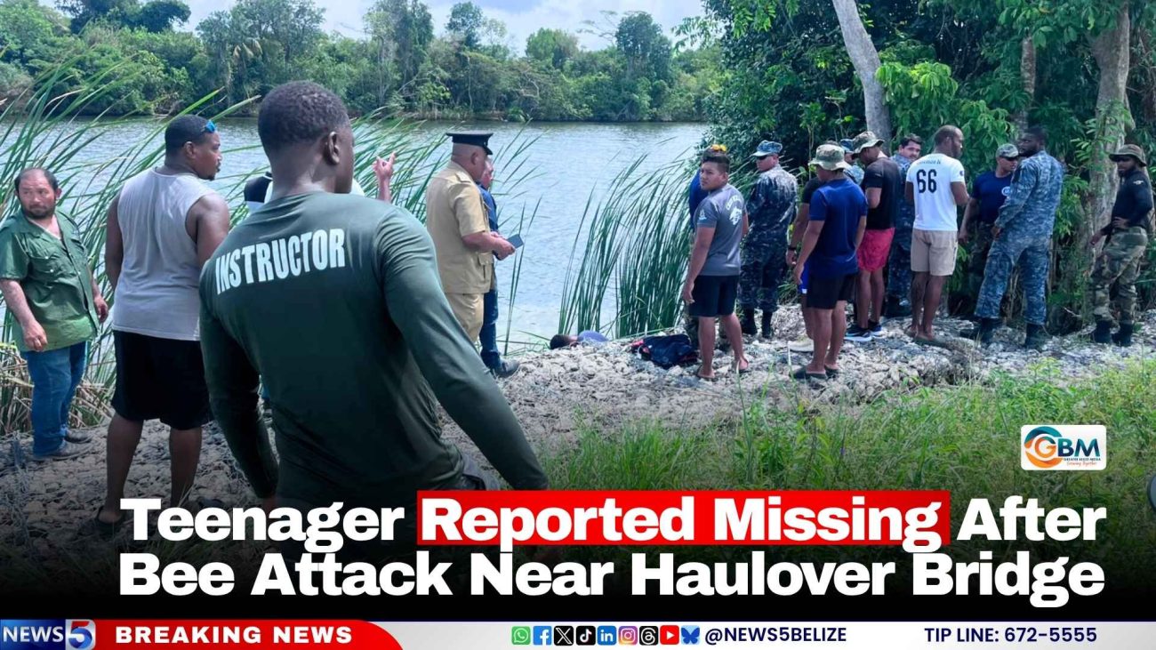 Teenager Reported Missing After Bee Attack Near Haulover Bridge