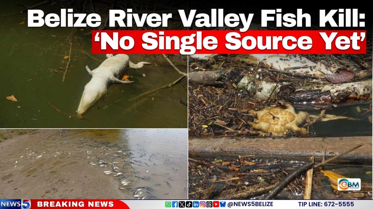 Belize River Valley Fish Kill: ‘No Single Source Yet’