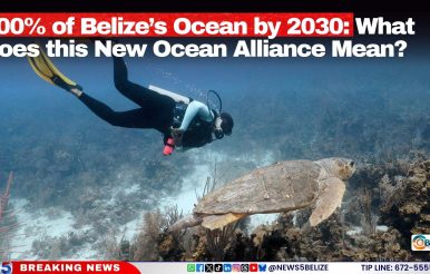100% of Belize’s Ocean by 2030: What Does this New Ocean Alliance Mean?