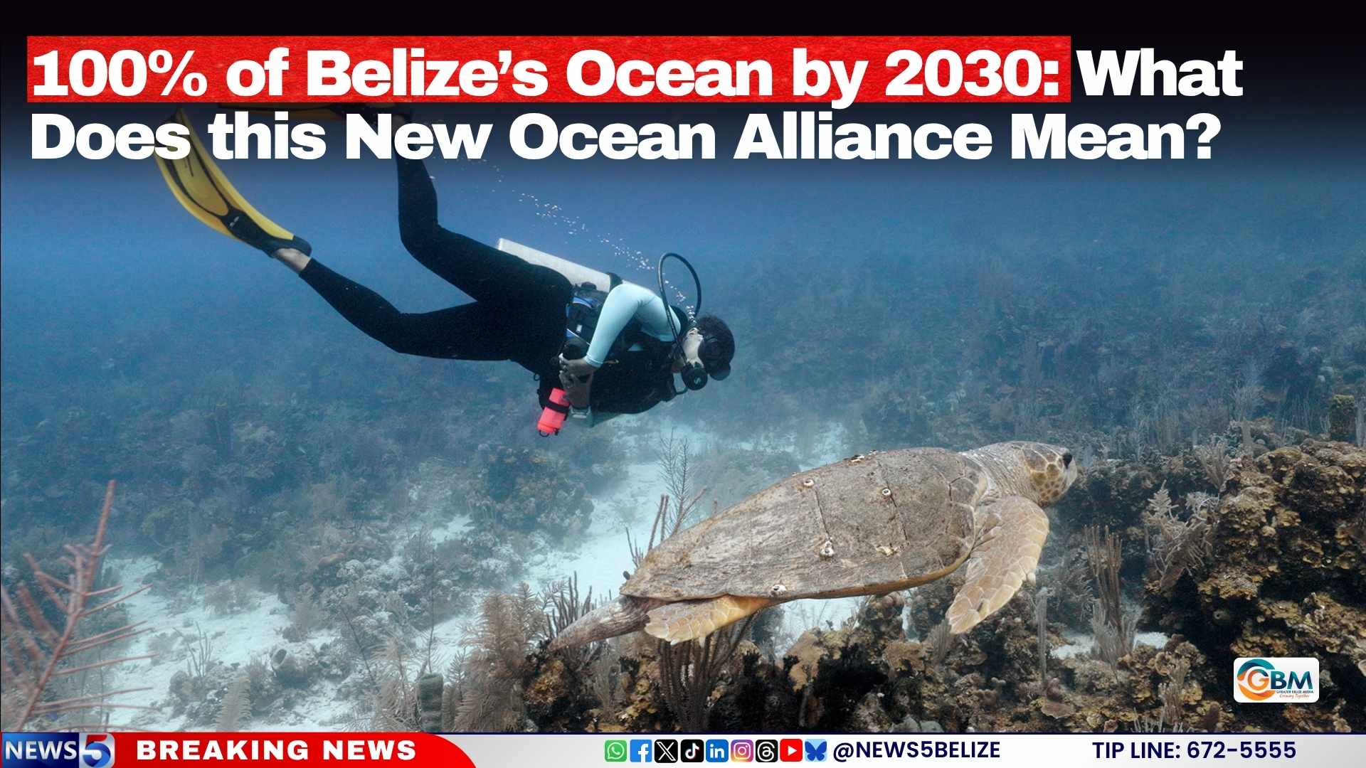 100% of Belize’s Ocean by 2030: What Does this New Ocean Alliance Mean?