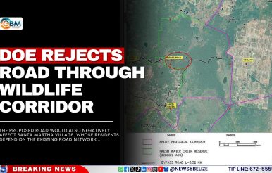 DOE Rejects Road Through Wildlife Corridor