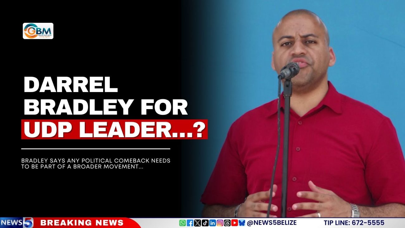 Bradley says any political comeback needs to be part of a broader movement