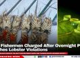 Four Fishermen Charged After Overnight Patrol Catches Lobster Violations