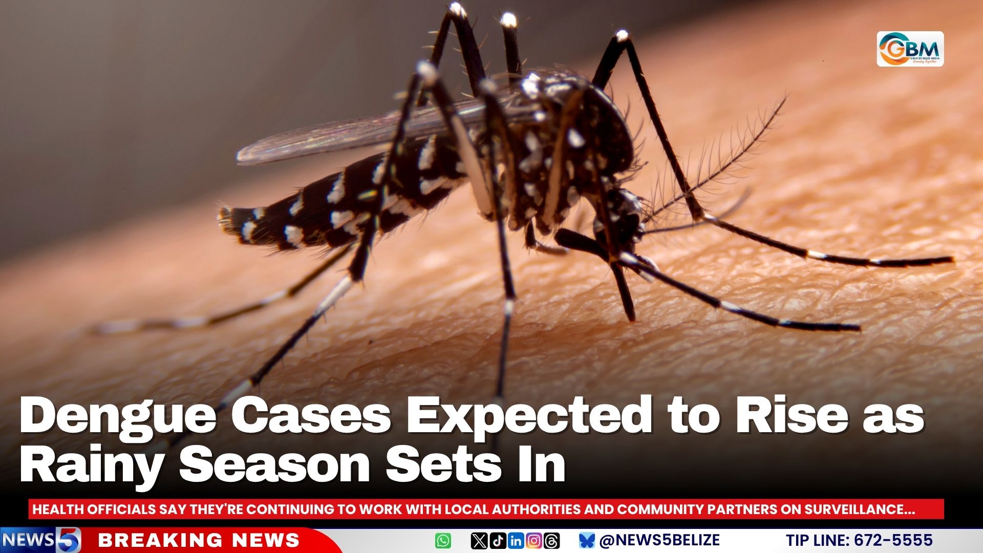Dengue Cases Expected to Rise as Rainy Season Sets In