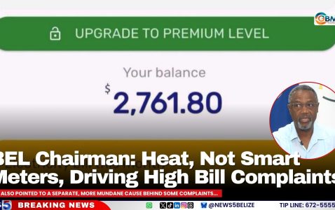 BEL Chairman: Heat, Not Smart Meters, Driving High Bill Complaints