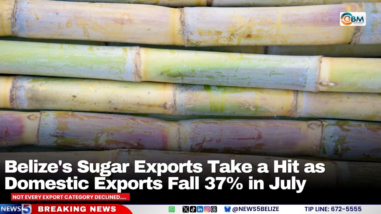 Belize's Sugar Exports Take a Hit as Domestic Exports Fall 37% in July