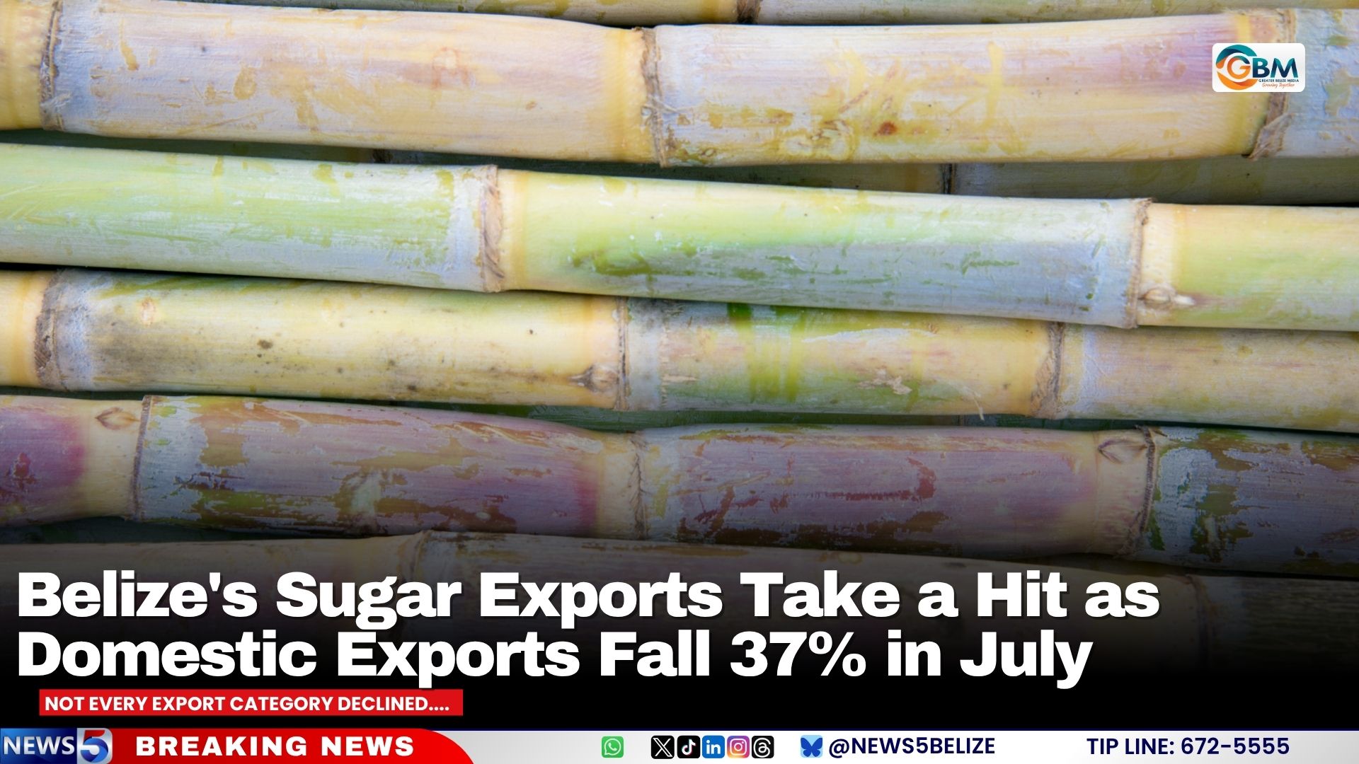 Belize's Sugar Exports Take a Hit as Domestic Exports Fall 37% in July