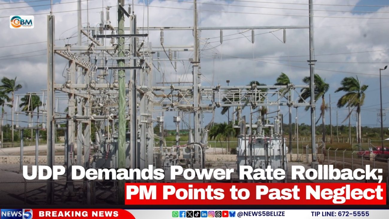 UDP Demands Power Rate Rollback; PM Points to Past Neglect