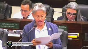 Dolores Balderamos Garcia
