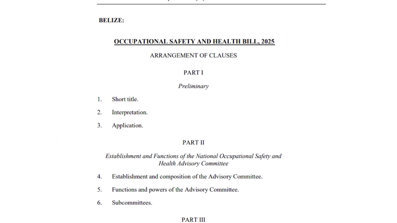 Senator Faber Slams OSH Inspectorate as Underfunded and Unprepared
