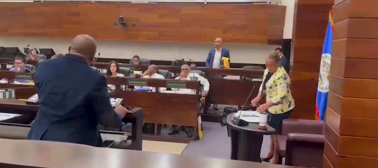 BTL-Speednet Protest Divides Senate, Wade Stands Alone