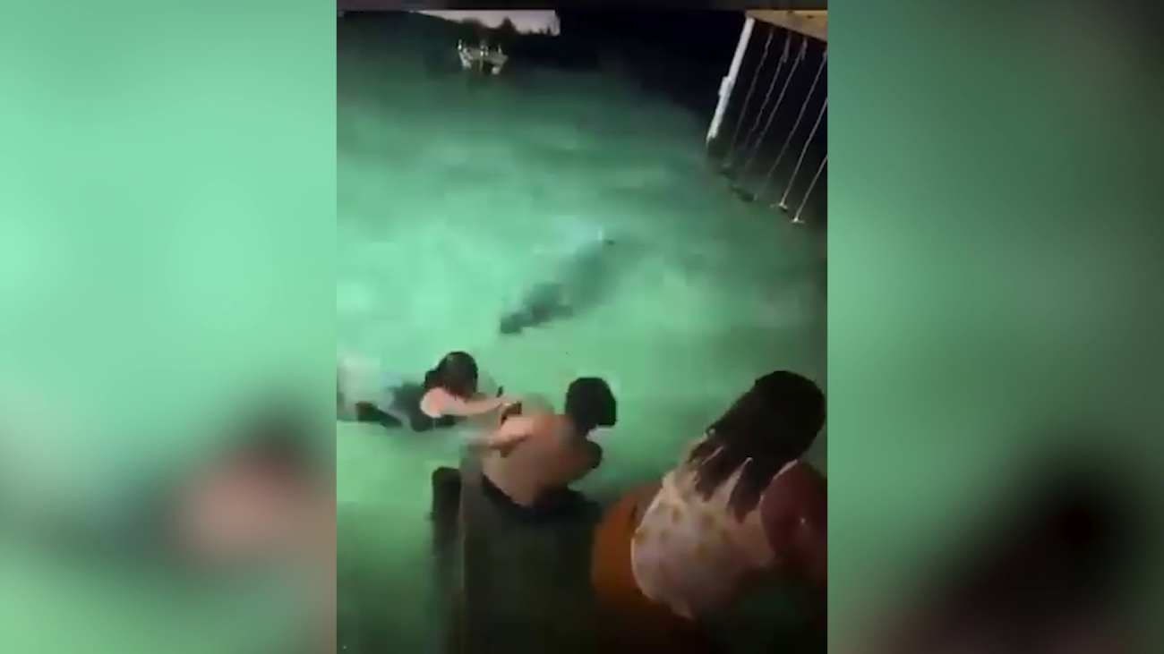 Public Urged To Avoid Crocodile Interaction