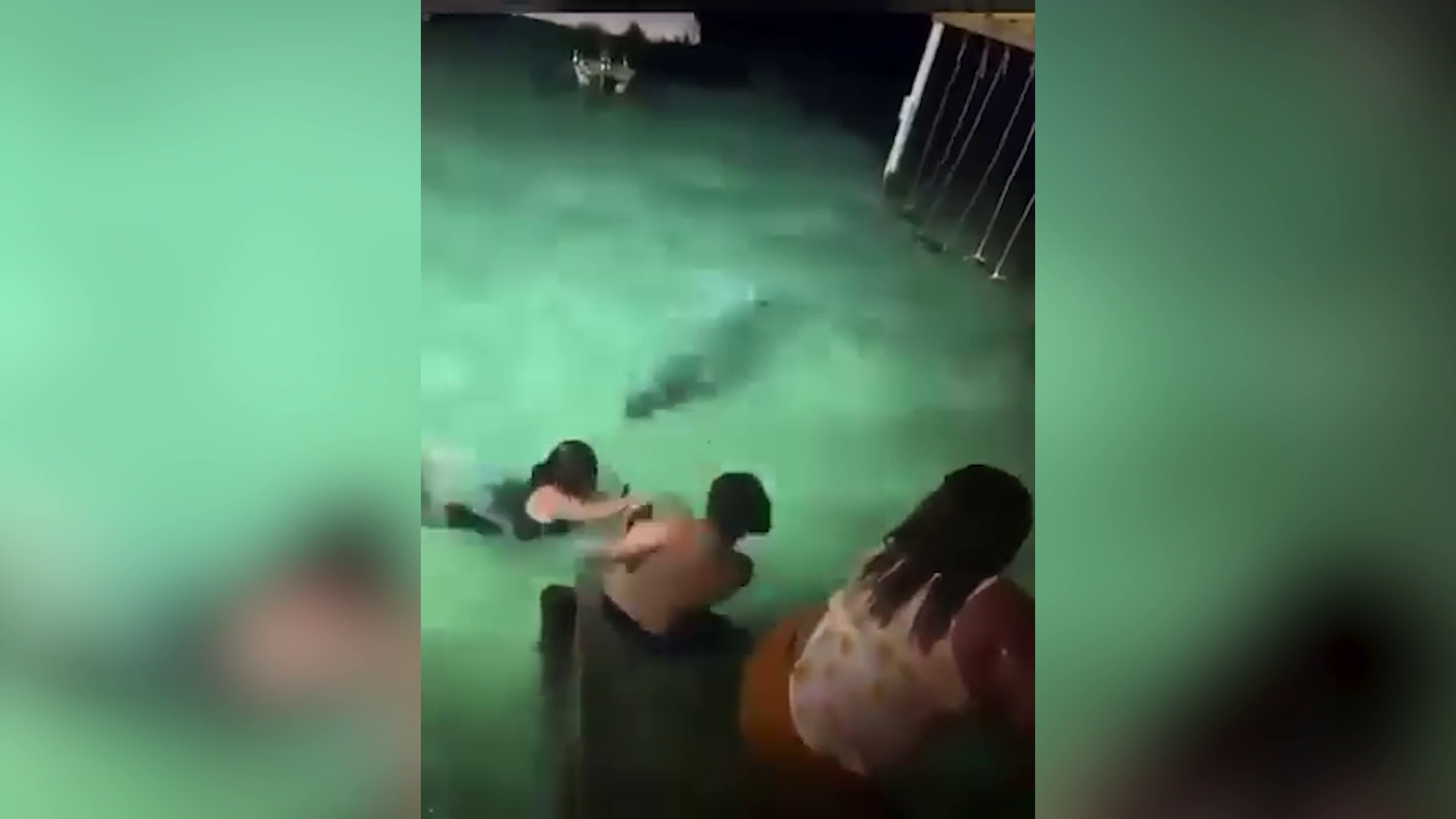 Public Urged To Avoid Crocodile Interaction
