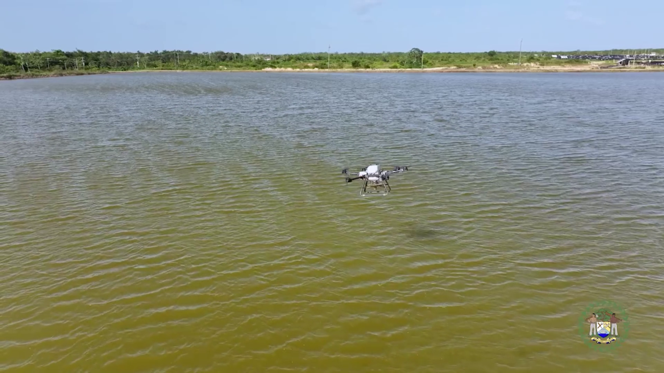 Shrimp Industry Now Worth Twenty-Five Million Dollars