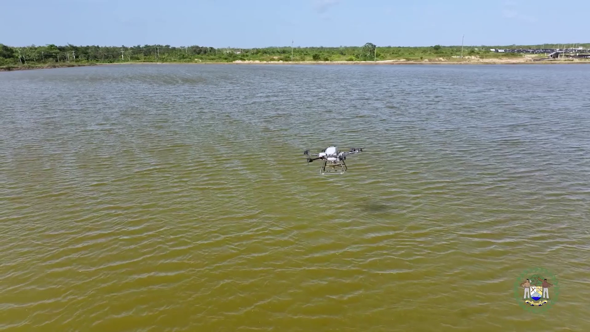 Shrimp Industry Now Worth Twenty-Five Million Dollars