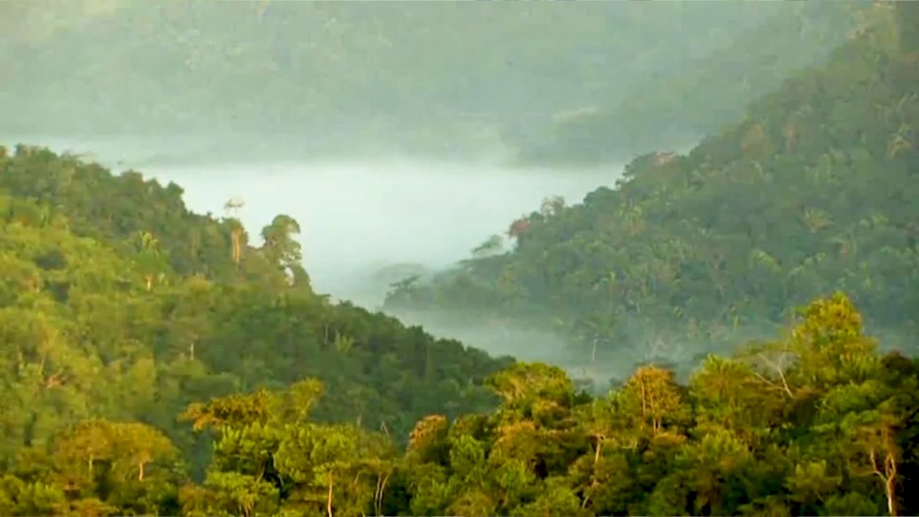 Belize Lays Groundwork for Credible Carbon Credit Market