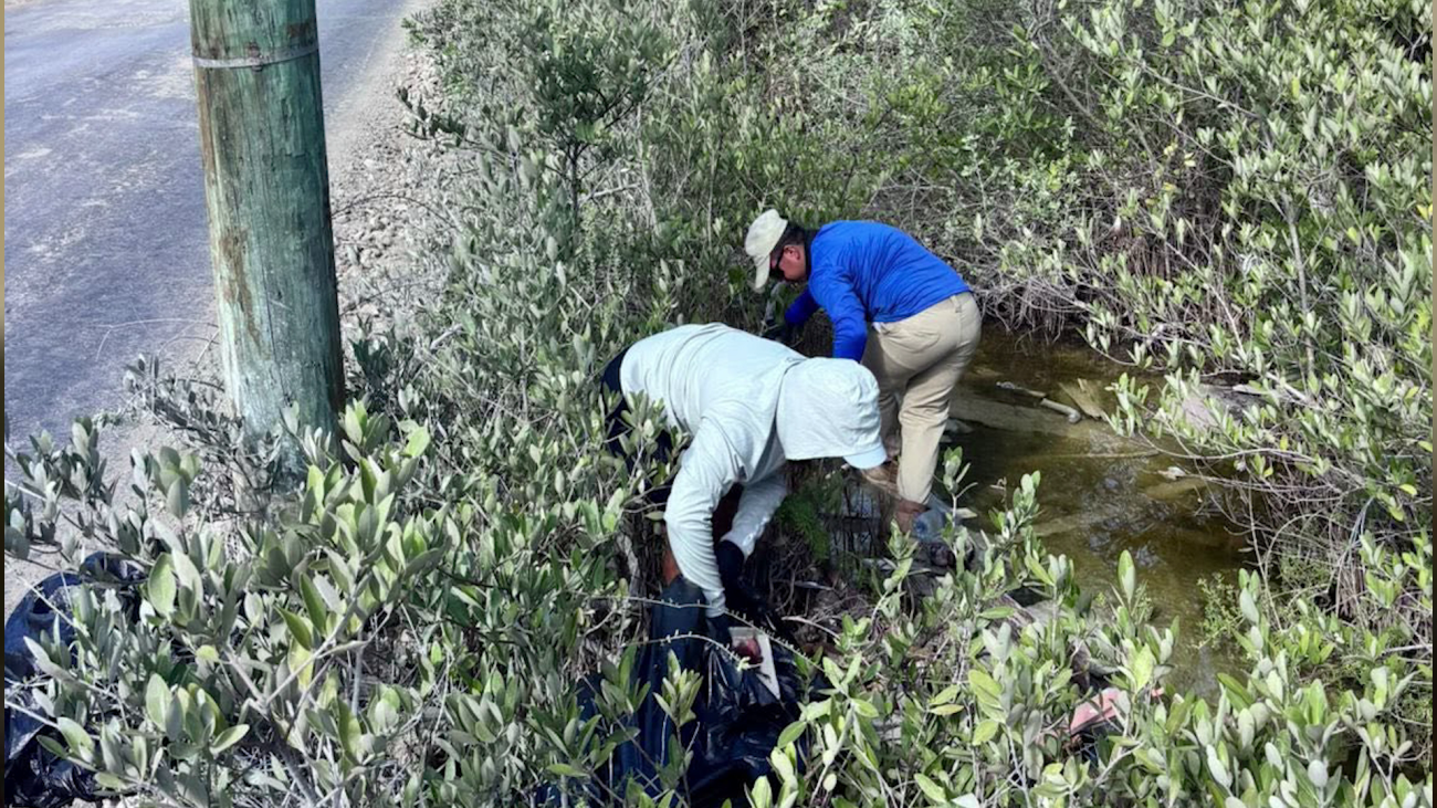 Litterbugs Face Two-Thousand-Dollar Fines